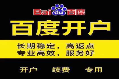 SEM广告投放案例：揭秘高转化率秘诀